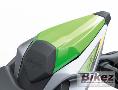 2019 Kawasaki Ninja ZX-6R 636 KRT Edition