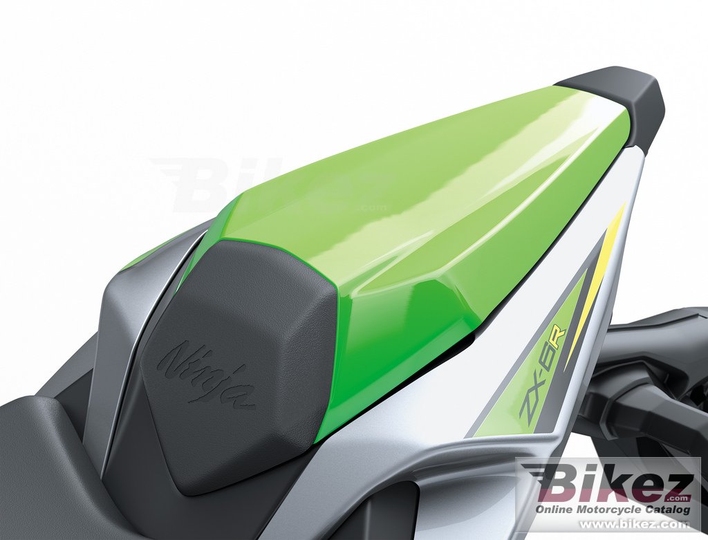 Kawasaki Ninja ZX-6R 636 KRT Edition