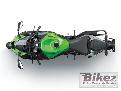 2019 Kawasaki Ninja ZX-6R 636 KRT Edition