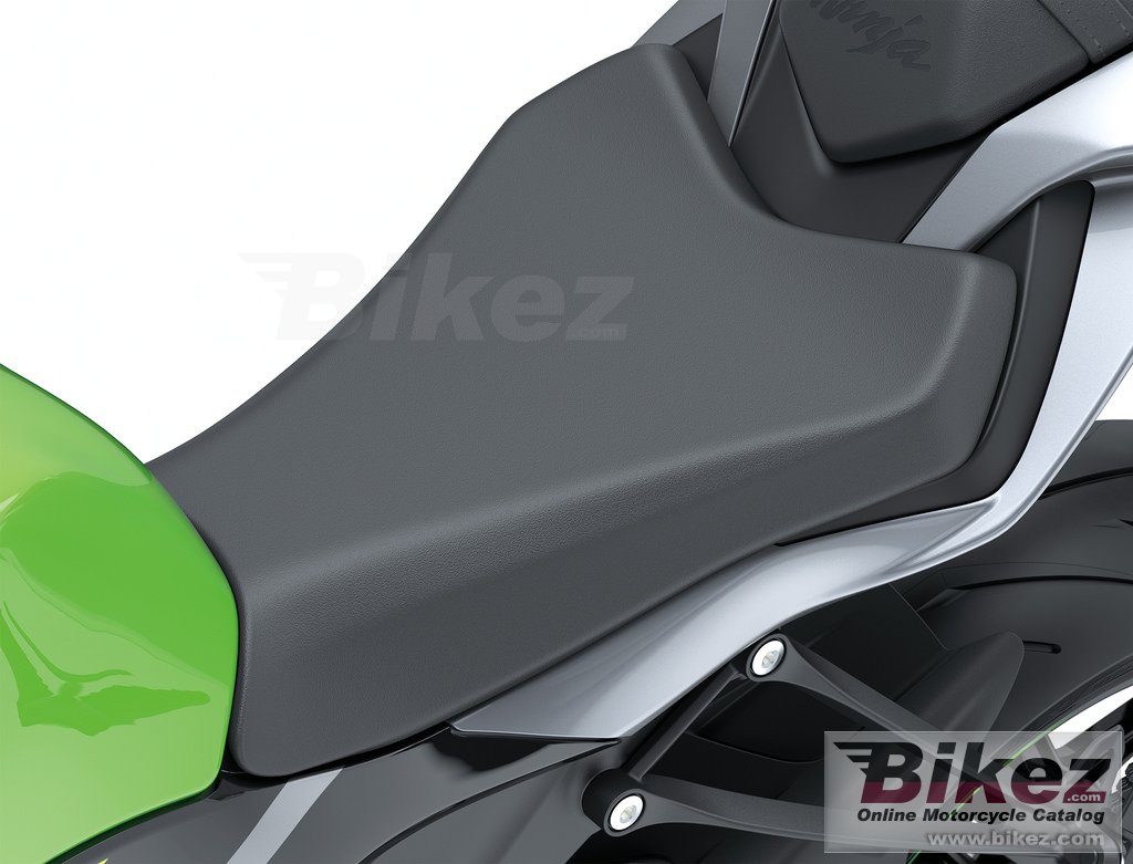 Kawasaki Ninja ZX-6R 636 KRT Edition