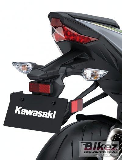 2019 Kawasaki Ninja ZX-6R 636 KRT Edition