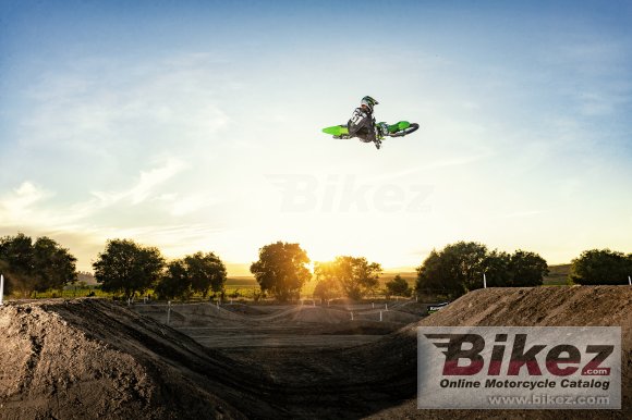 2020 Kawasaki KX250