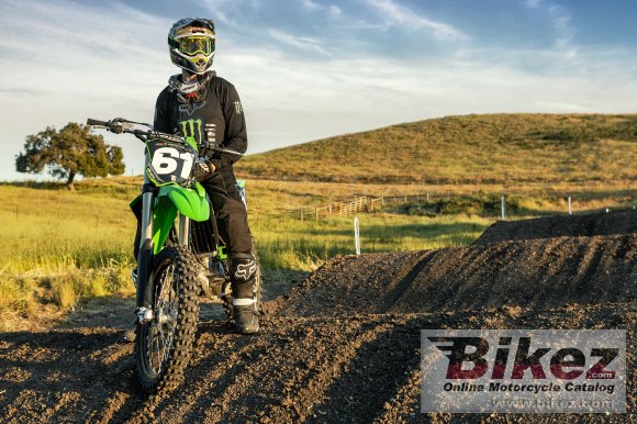 2020 Kawasaki KX250