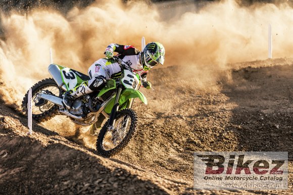 2020 Kawasaki KX450