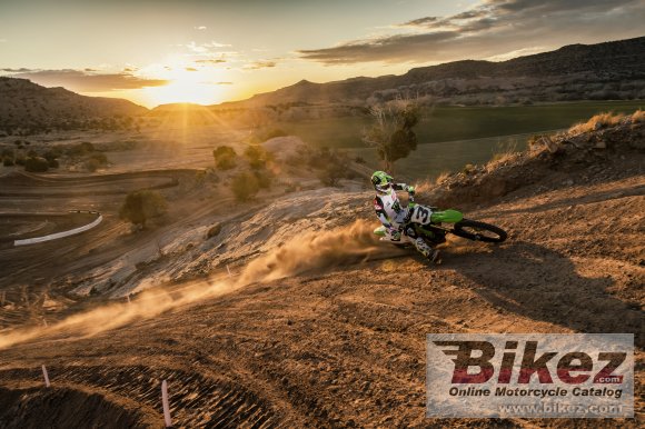 2020 Kawasaki KX450