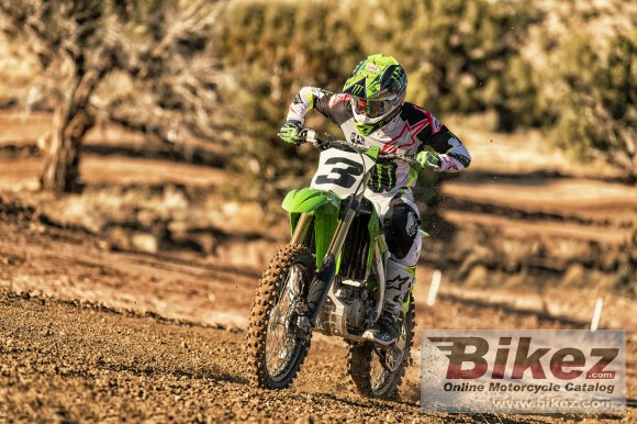 2020 Kawasaki KX450