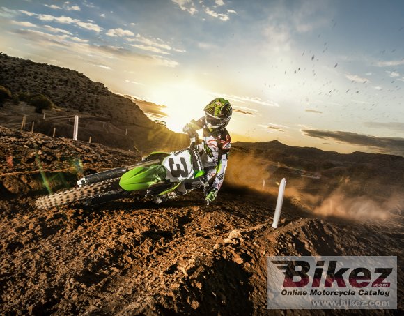 2020 Kawasaki KX450