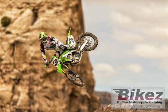 2020 Kawasaki KX450