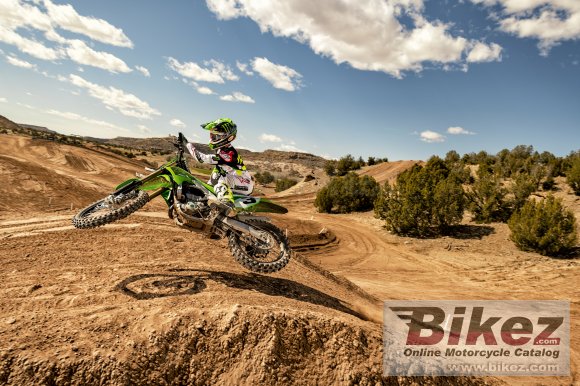 2020 Kawasaki KX450