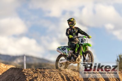 2020 Kawasaki KX450
