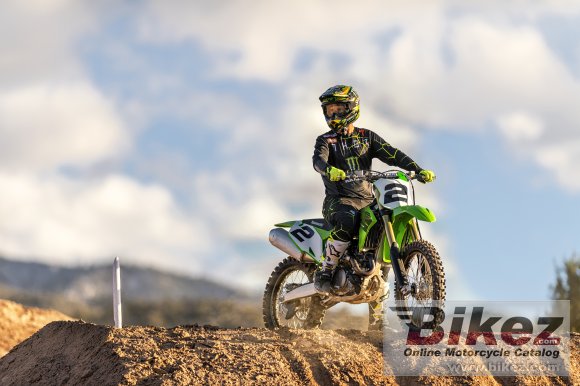 2020 Kawasaki KX450