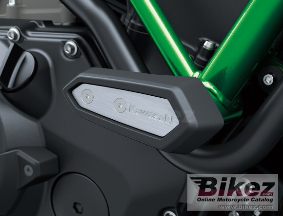 2020 Kawasaki Z H2