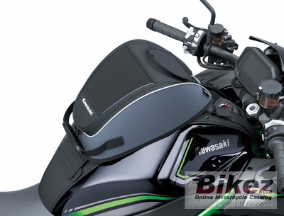 2020 Kawasaki Z H2