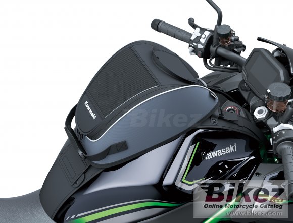 2020 Kawasaki Z H2