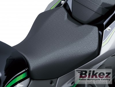 2020 Kawasaki Z H2
