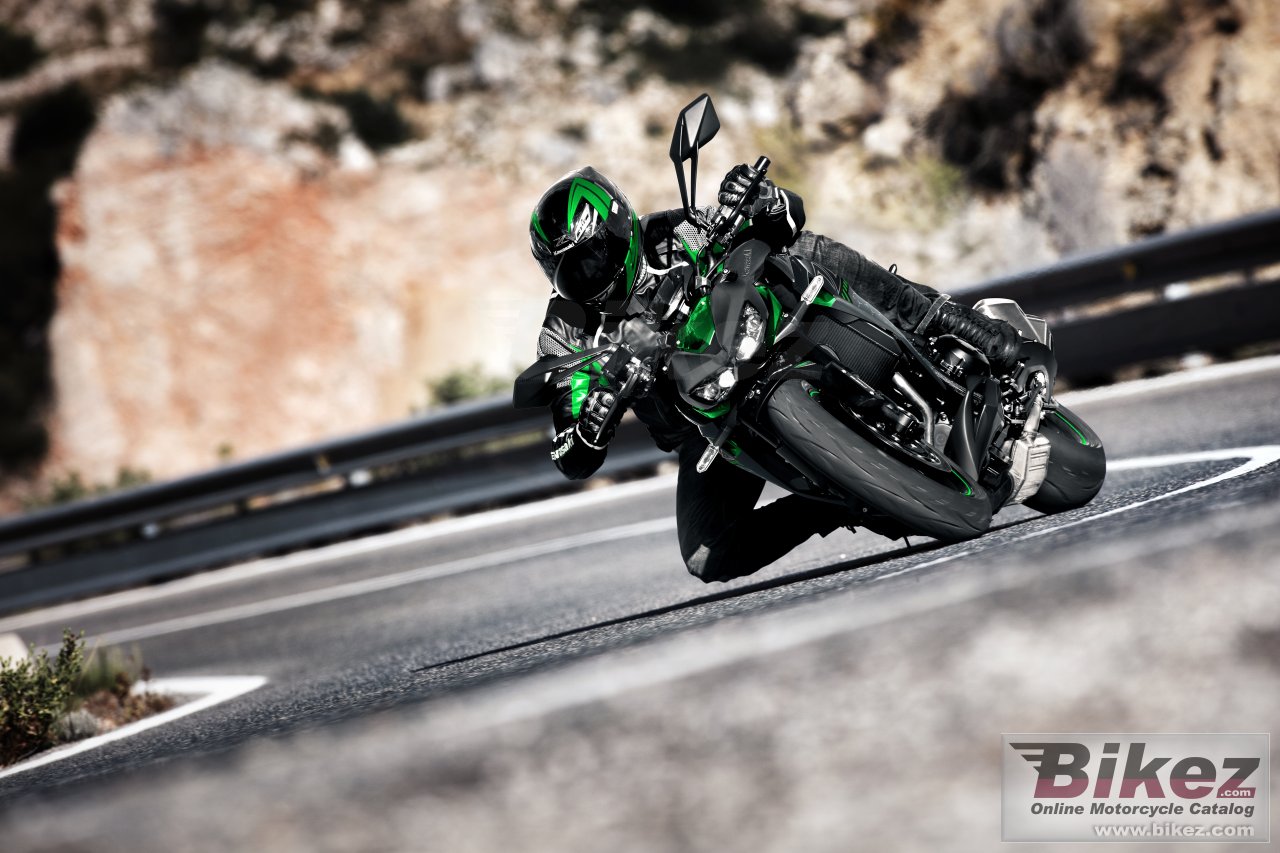 Kawasaki Z1000R Edition