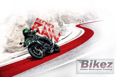 2020 Kawasaki Z1000R Edition