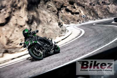 2020 Kawasaki Z1000R Edition