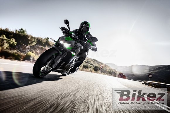 2020 Kawasaki Z1000R Edition