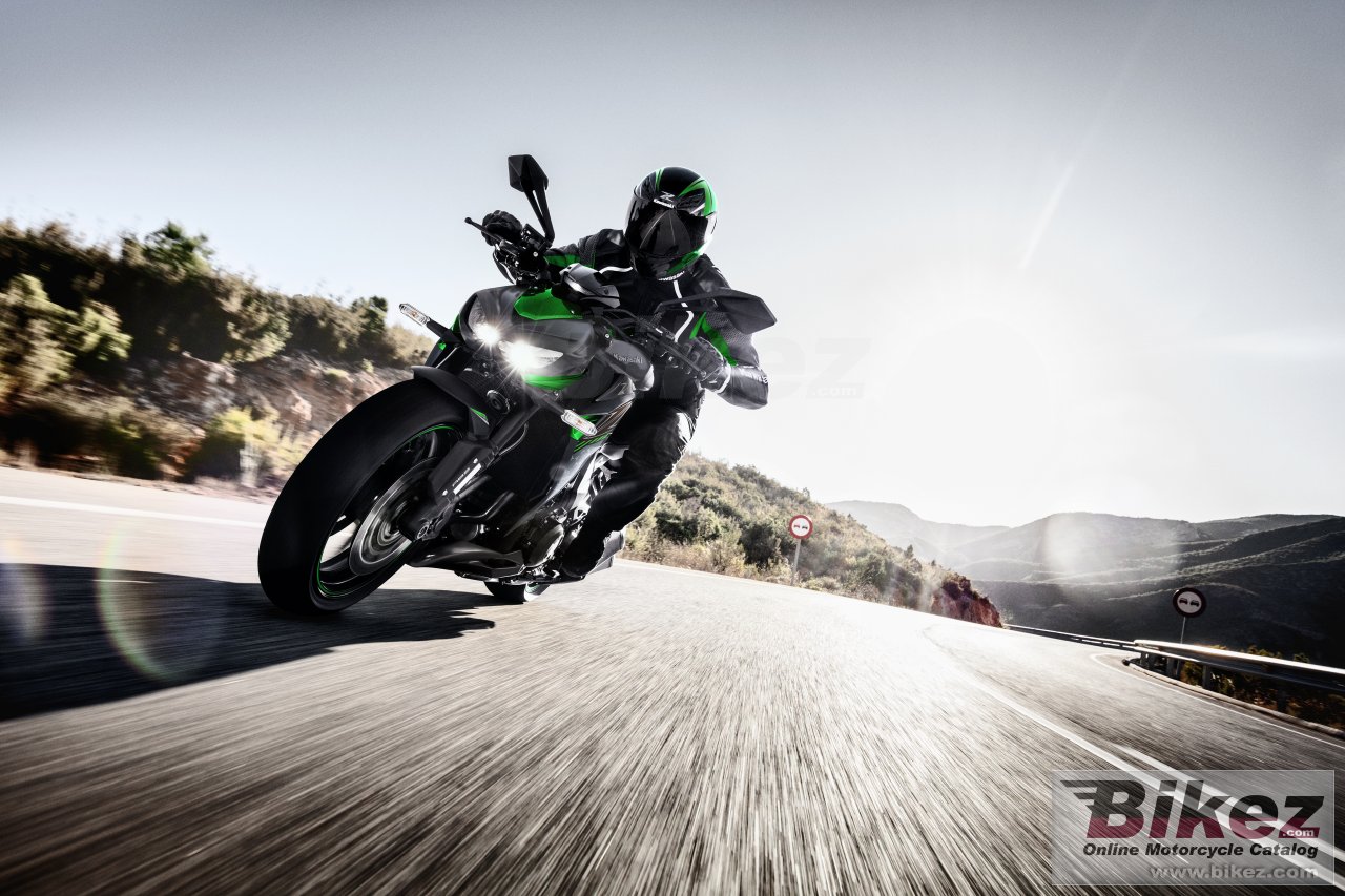 Kawasaki Z1000R Edition