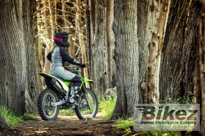 2020 Kawasaki KLX230R