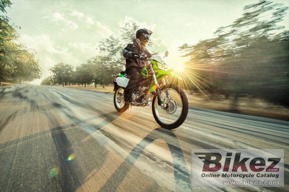 2020 Kawasaki KLX 250