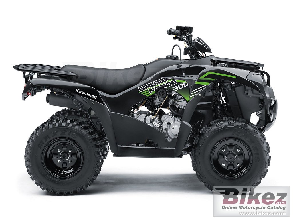 Kawasaki Brute Force 300