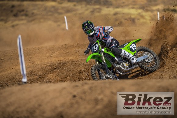 2021 Kawasaki KX250