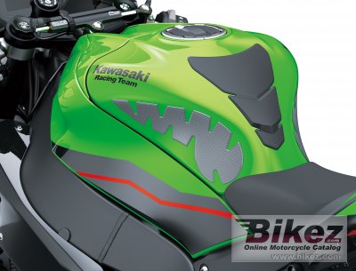 2021 Kawasaki Ninja ZX-10R