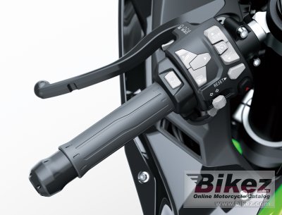 2021 Kawasaki Ninja ZX-10R