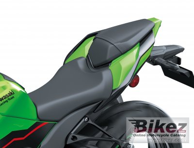 2021 Kawasaki Ninja ZX-10R