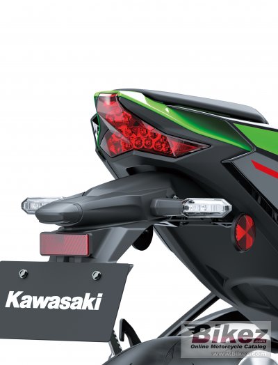 2021 Kawasaki Ninja ZX-10R