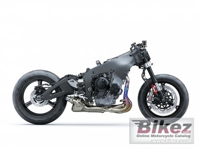2021 Kawasaki Ninja ZX-10R