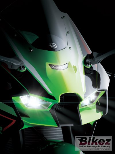 2021 Kawasaki Ninja ZX-10R