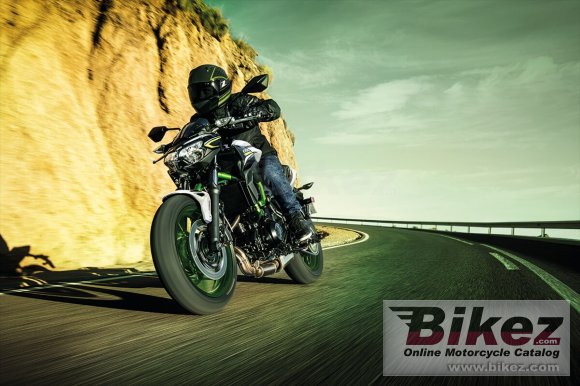 2021 Kawasaki Z650