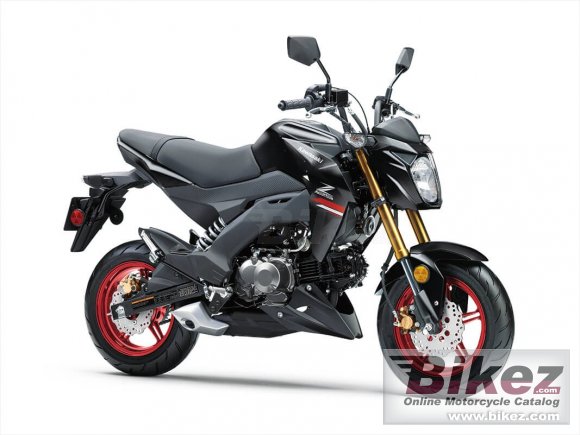 2021 Kawasaki Z125 Pro