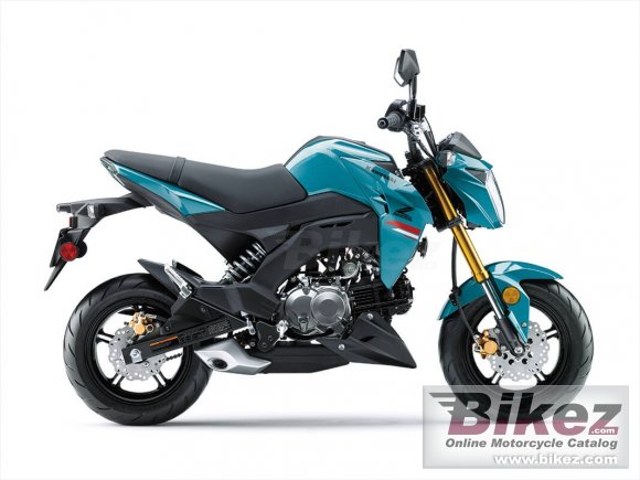 2021 Kawasaki Z125 Pro