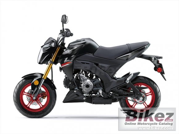 2021 Kawasaki Z125 Pro