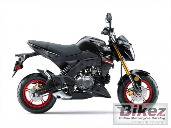 2021 Kawasaki Z125 Pro