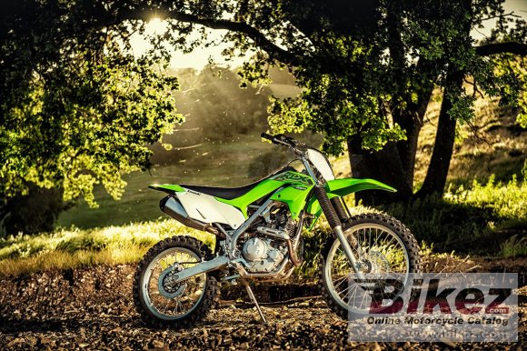 2021 Kawasaki KLX 230R