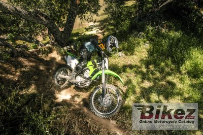 2021 Kawasaki KLX300R