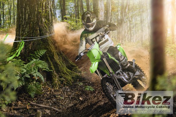 2021 Kawasaki KX250X