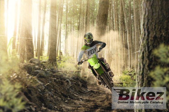 2021 Kawasaki KX450X