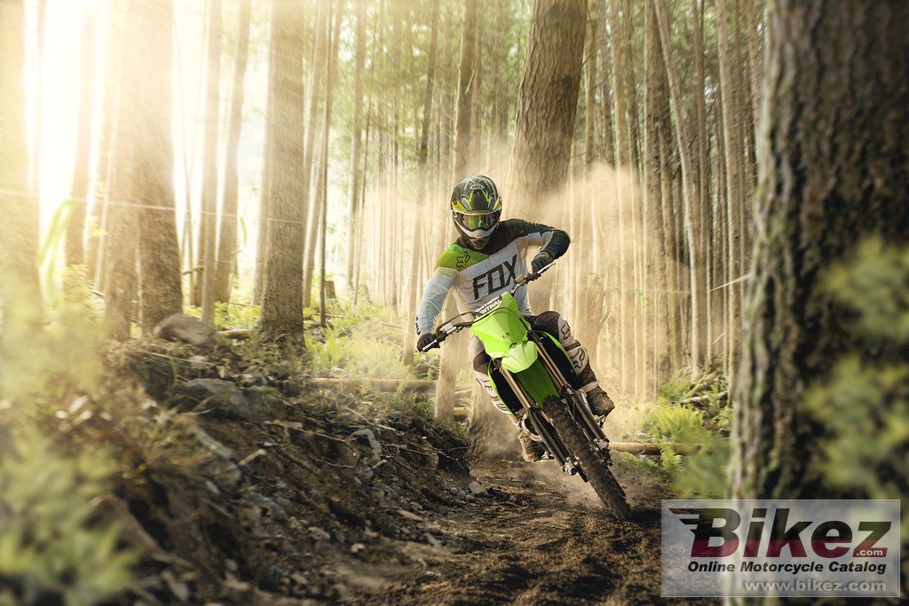 Kawasaki KX450X