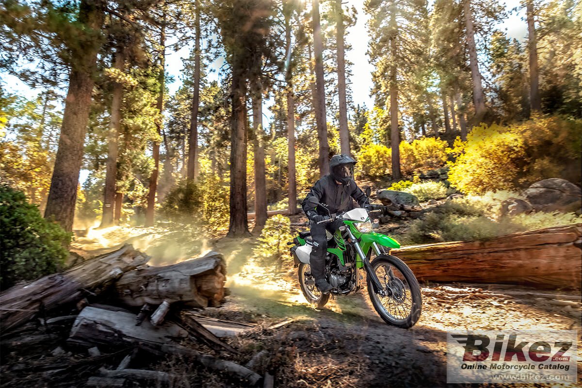 Kawasaki KLX300