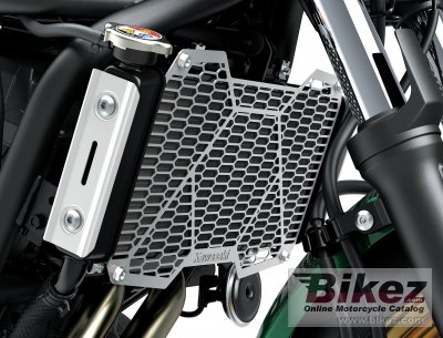 2022 Kawasaki Z650RS