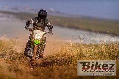 2022 Kawasaki KLX 230S
