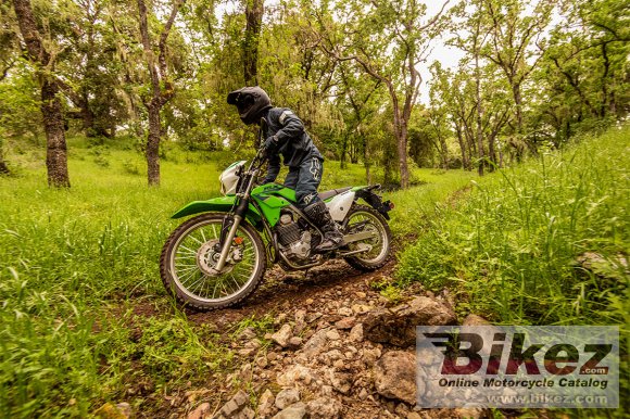 2022 Kawasaki KLX 230S