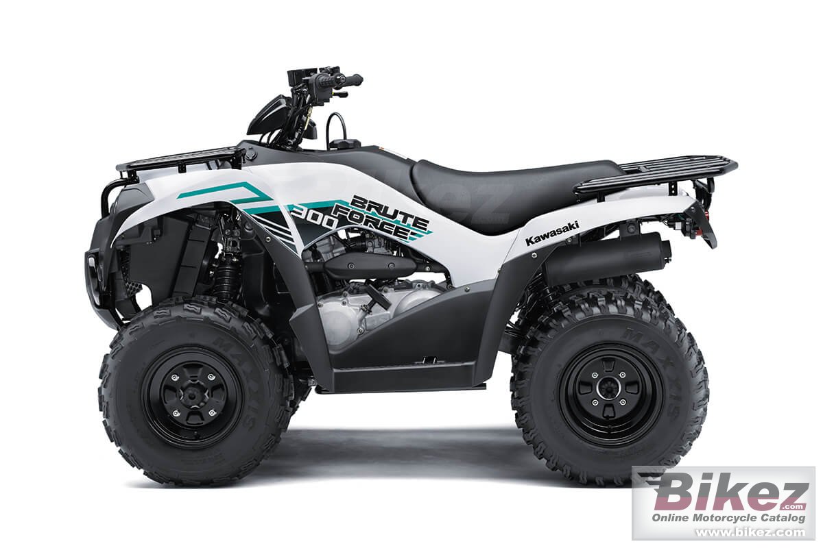 Kawasaki Brute Force 300