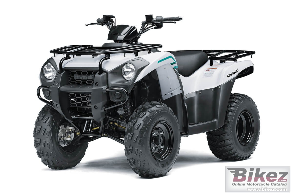 Kawasaki Brute Force 300